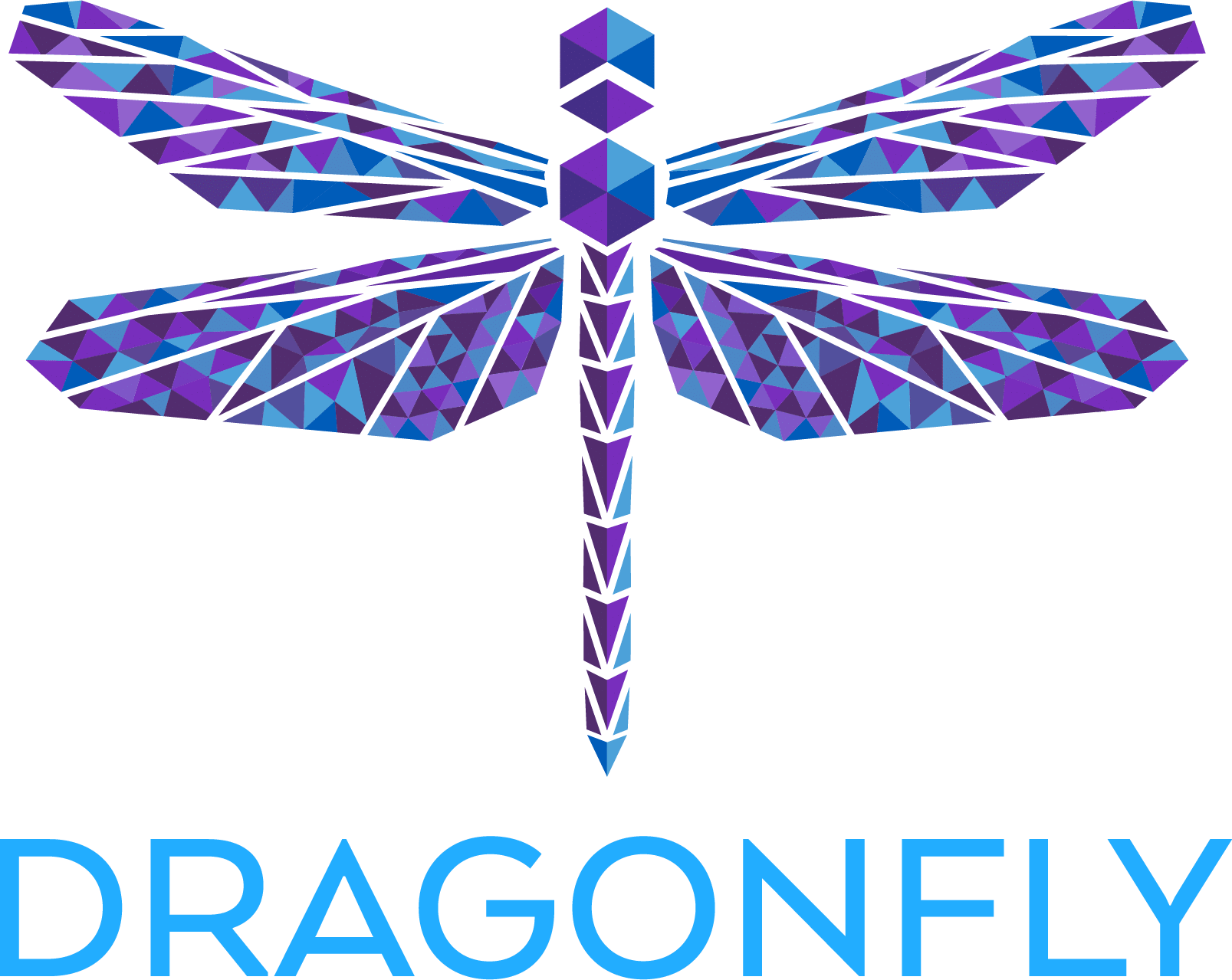 DragonFly Company Logo